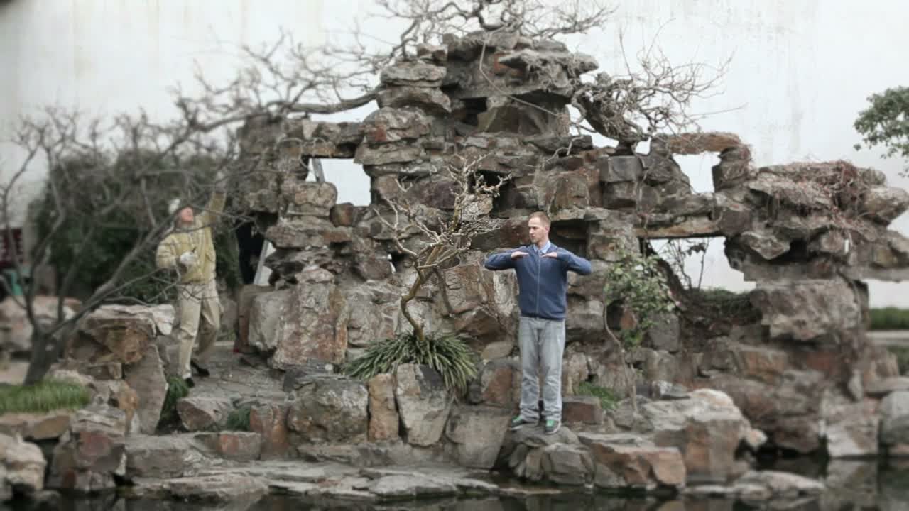 Your embodied garden, 2013