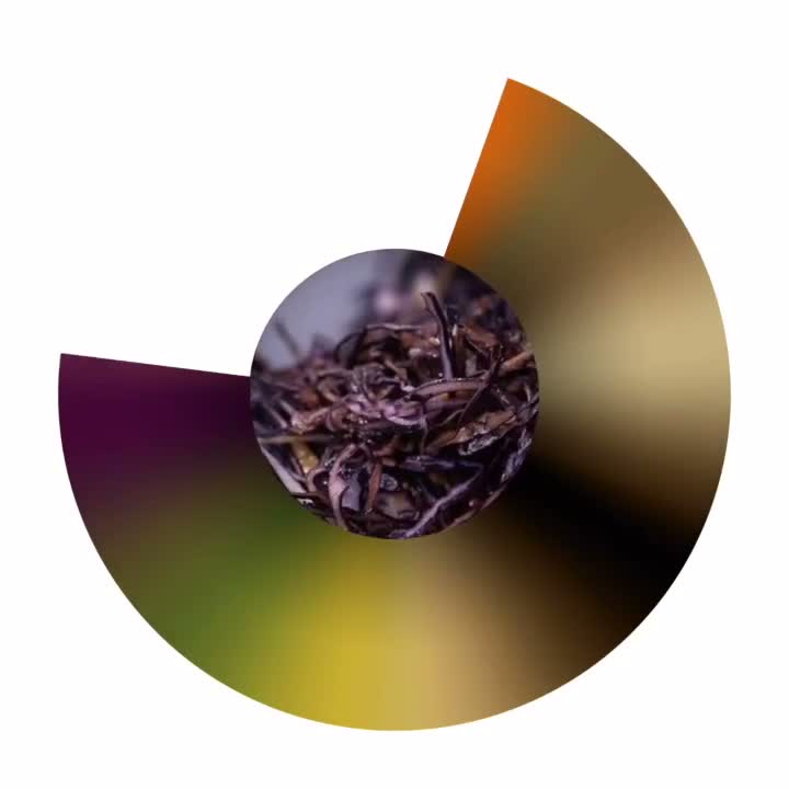 [Blog post '1153'] @studioolafureliasson Instagram video
