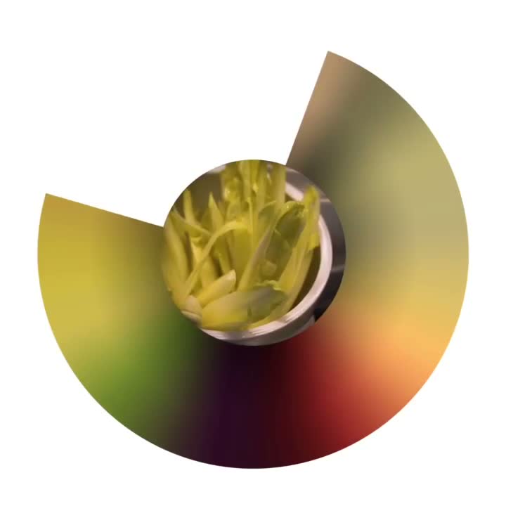 [Blog post '1175'] @studioolafureliasson Instagram video