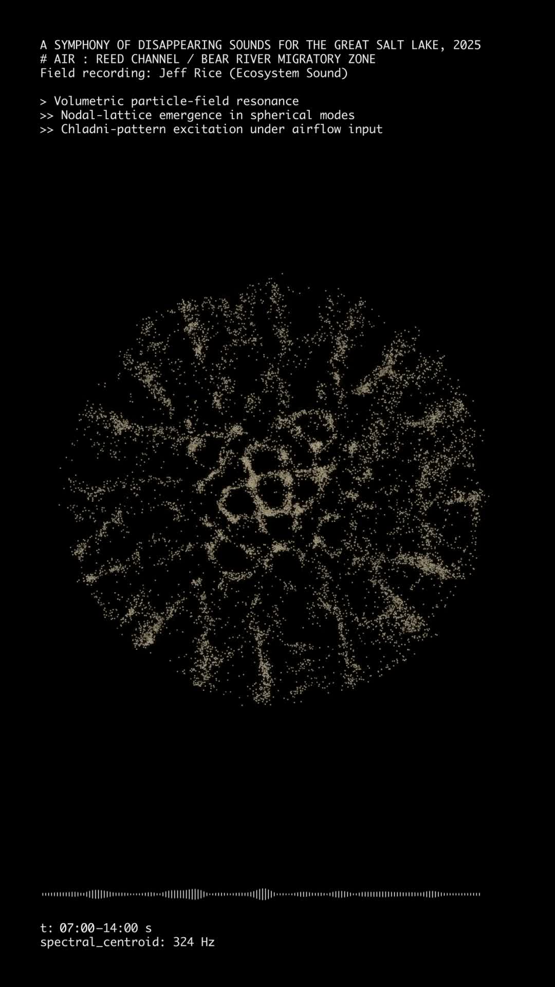 WindPortrait_1