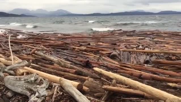 [Blog post '1498'] @studioolafureliasson Instagram video