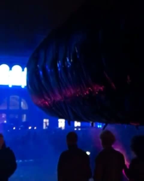 [Blog post '1365'] @studioolafureliasson Instagram video