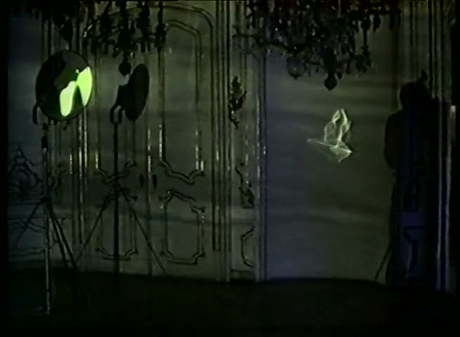 Die organische und kristalline Beschreibung, 1996